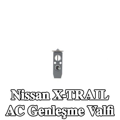 MAHLE AC genleşme valfi — 2012 Nissan X-trail