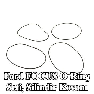 FAST O-Ring Seti, silindir kovanı — Ford Focus