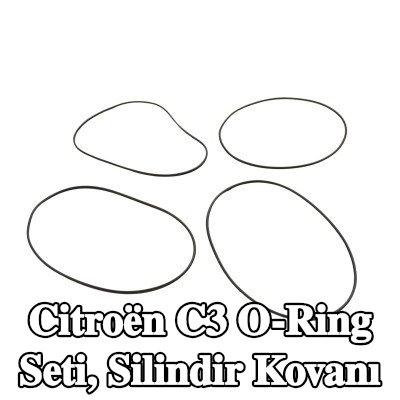 FAST O-Ring Seti, silindir kovanı — Citroën C3