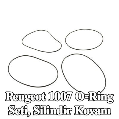 FAST O-Ring Seti, silindir kovanı — Peugeot 1007