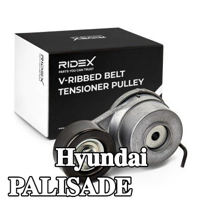 RIDEX بكرة الموتر القطر الخارجي: 65mm — Hyundai Palisade