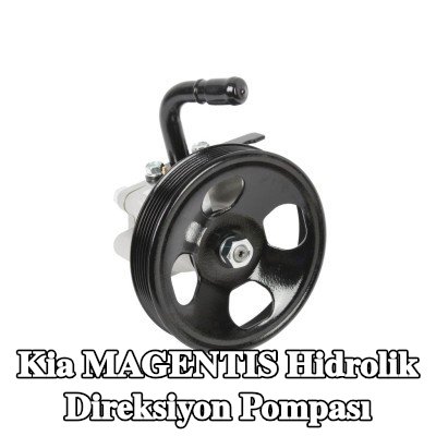 ABAKUS Hidrolik direksiyon pompası — Kia Magentis