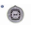 VAICO VVT solenoidi Q+, orijinal ekipman üreticisi kalitesi — 2003 Peugeot 307 (2)