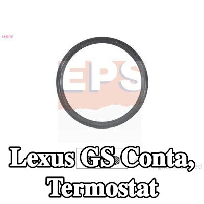 EPS Conta, termostat — Lexus Gs