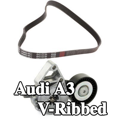 RIDEX PLUS مجموعة أحزمة V-Ribbed — 2002 Audi A3