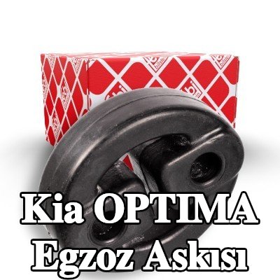 FEBI BILSTEIN Egzoz askısı — 2012 Kia Optima