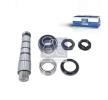 DT Spare Parts Onarım Kiti, kingpin — Renault Master (1)