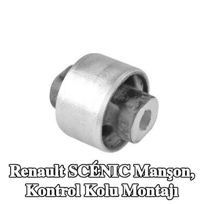TEDGUM Manşon, kontrol kolu montajı — Renault Scénic