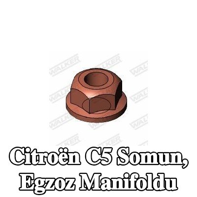 WALKER Somun, egzoz manifoldu — Citroën C5
