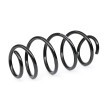 SACHS Helezon yay — 2012 Volkswagen Caddy (2)