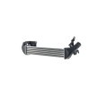 MAHLE Intercooler — Renault Clio (6)