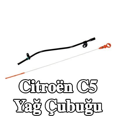 FEBI BILSTEIN Kılavuz huni/tüp ile yağ çubuğu — Citroën C5