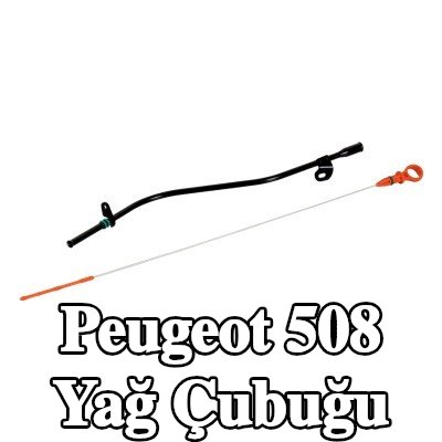 FEBI BILSTEIN Kılavuz huni/tüp ile yağ çubuğu — Peugeot 508