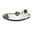 BOSCH Su pompası ve triger kayışı kiti Diş Sayısı: 117, Width: 22mm — Ford C-max (2)
