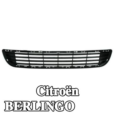 BLIC شبكة المصد المركزية — 2000 Citroën Berlingo