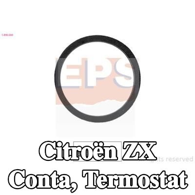 EPS Conta, termostat İtalya'da üretilmiştir - OE Eşdeğeri — Citroën Zx