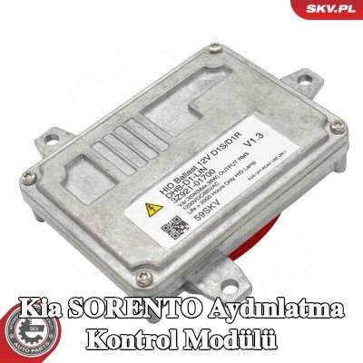 ESEN SKV Aydınlatma kontrol modülü — Kia Sorento