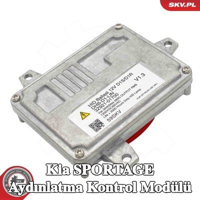 ESEN SKV Aydınlatma kontrol modülü — 2016 Kia Sportage