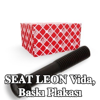 FEBI BILSTEIN Vida, baskı plakası — SEAT Leon