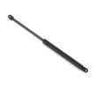 STABILUS Arka kapak destek kolu LIFT-O-MAT, 255mm — SEAT Malaga (1)