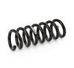 SACHS Helezon yay — Mercedes-Benz C-Class (2)