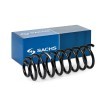 SACHS Helezon yay — Volkswagen Vento (1)