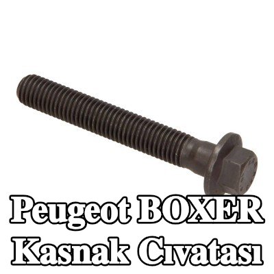 CITROEN/PEUGEOT Kasnak Cıvatası — 2012 Peugeot Boxer