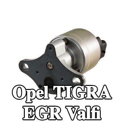 HELLA Contalı/sızdırmazlık elemanlı EGR valfi — 2000 Opel Tigra
