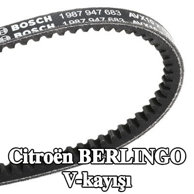 BOSCH V-kayışı 710mm — Citroën Berlingo