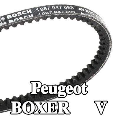 BOSCH حزام V 710mm — Peugeot Boxer