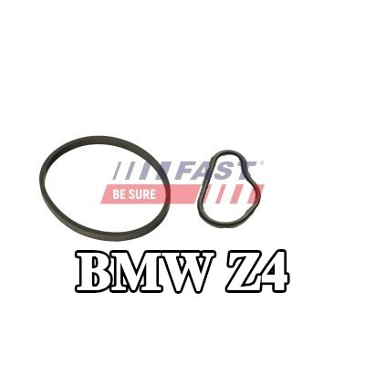 FAST حشية، مضخة تفريغ — 2011 BMW Z4