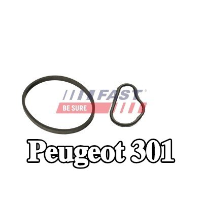 FAST حشية، مضخة تفريغ — Peugeot 301