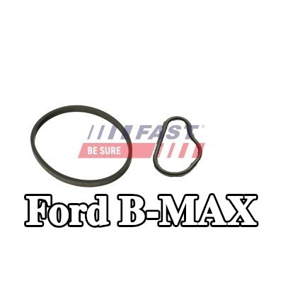 FAST حشية، مضخة تفريغ — Ford B-max
