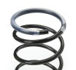 EIBACH Süspansiyon kiti, coil springs Set of 2 springs, Pro-Kit — Peugeot 106 (3)