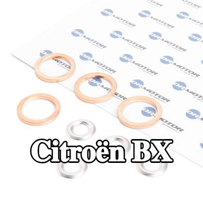 DR.MOTOR AUTOMOTIVE طقم مانع تسرب الحاقن — Citroën Bx
