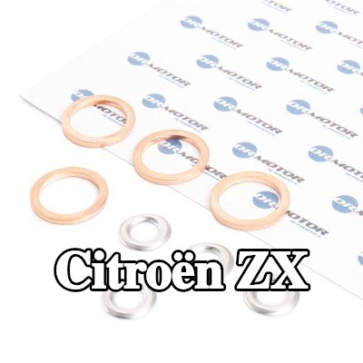 DR.MOTOR AUTOMOTIVE طقم مانع تسرب الحاقن — Citroën Zx