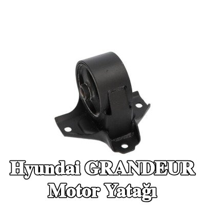 KAVO PARTS Motor yatağı — 2011 Hyundai Grandeur