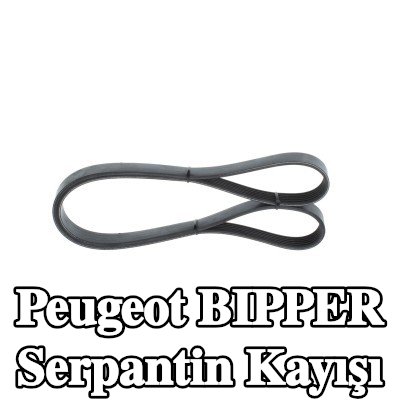 BOSCH Serpantin kayışı 1225mm, Number of ribs: 6 — Peugeot Bipper