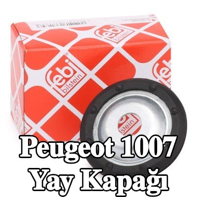 FEBI BILSTEIN Ön Aks Yay Kapağı — Peugeot 1007