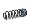 EIBACH Sarmal yay Single Spring Pro-Kit, Arka Aks — Renault Talisman (2)