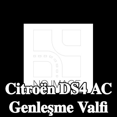 BOSCH Montaj kılavuzu ile klima genleşme valfi — Citroën Ds4