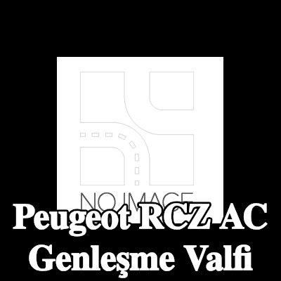 BOSCH Montaj kılavuzu ile klima genleşme valfi — Peugeot Rcz