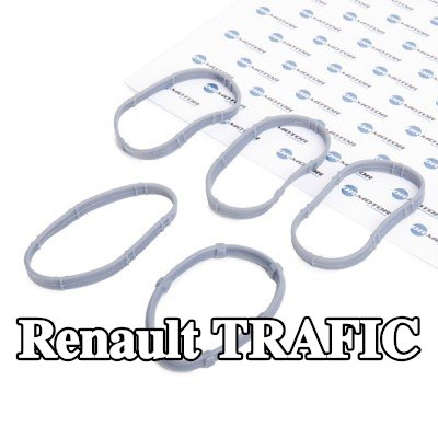 DR.MOTOR AUTOMOTIVE مجموعة حشيات، مشعب السحب — Renault Trafic