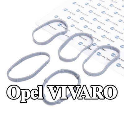 DR.MOTOR AUTOMOTIVE مجموعة حشيات، مشعب السحب — Opel Vivaro