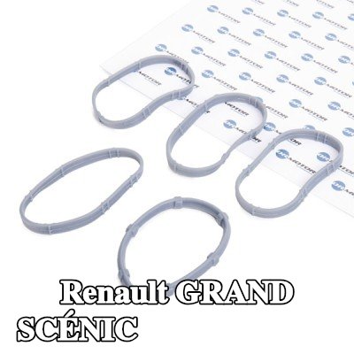 DR.MOTOR AUTOMOTIVE مجموعة حشيات، مشعب السحب — 2004 Renault Grand Scénic