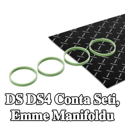 RIDEX Conta Seti, emme manifoldu — DS Ds4