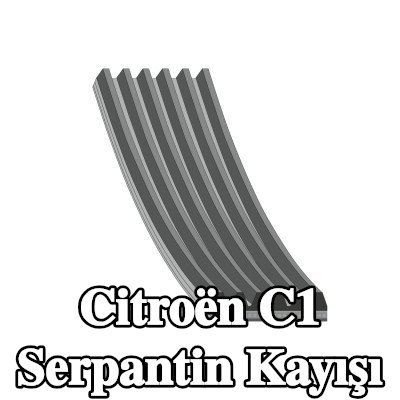 FEBI BILSTEIN Serpantin kayışı 913mm, Number of ribs: 6 — Citroën C1