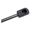 RIDEX دعامة الباب الخلفي 357mm — Renault Avantime (4)