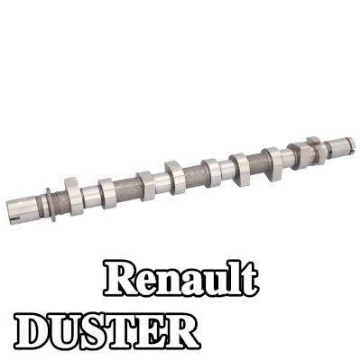 FEBI BILSTEIN عمود الكامات — 2016 Renault Duster