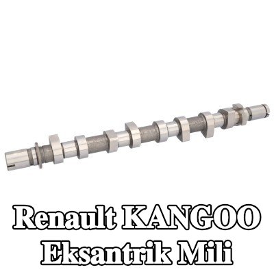 FEBI BILSTEIN Eksantrik Mili — Renault Kangoo